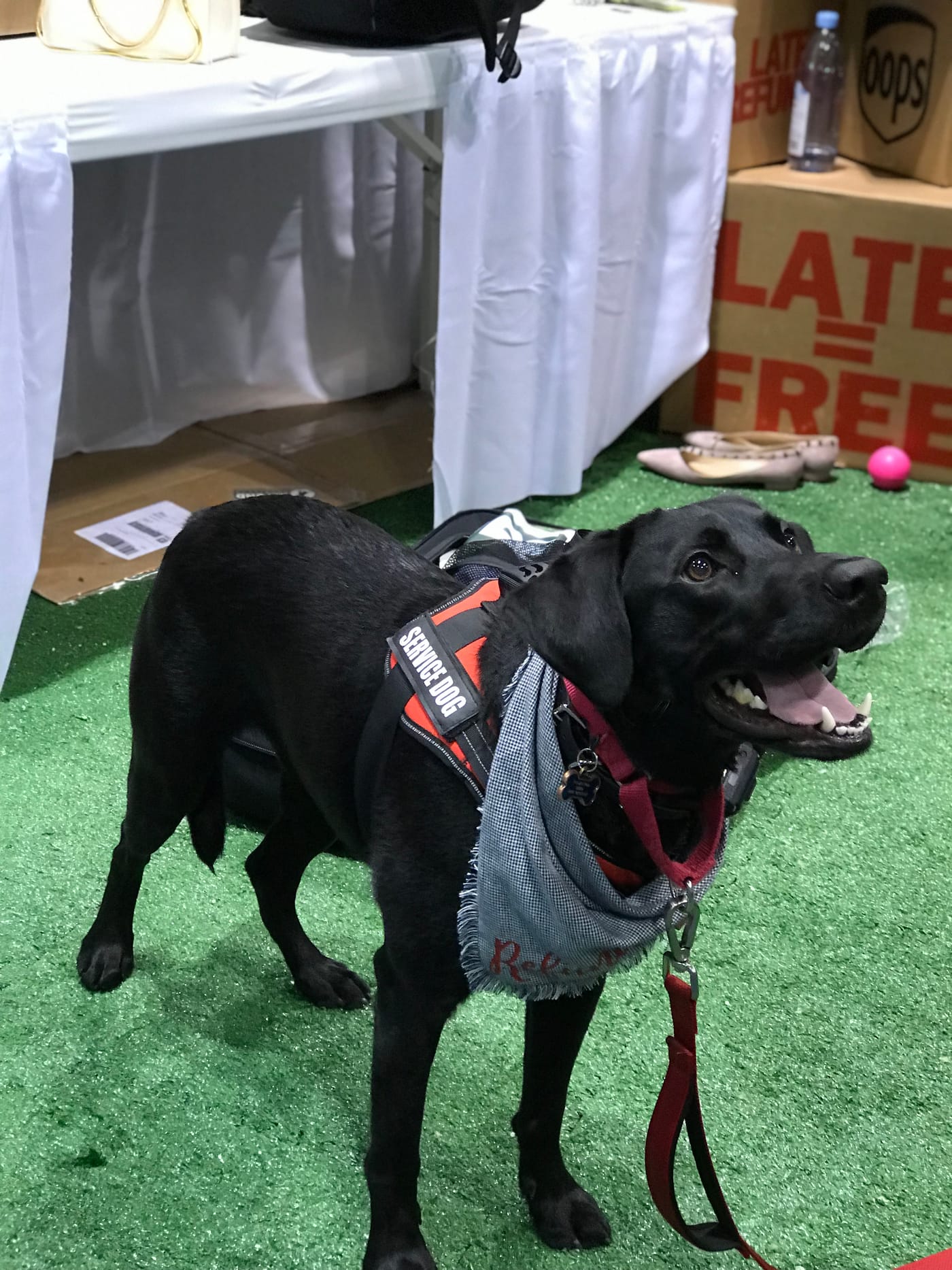 SellerCon 2019 Empowery group energy
